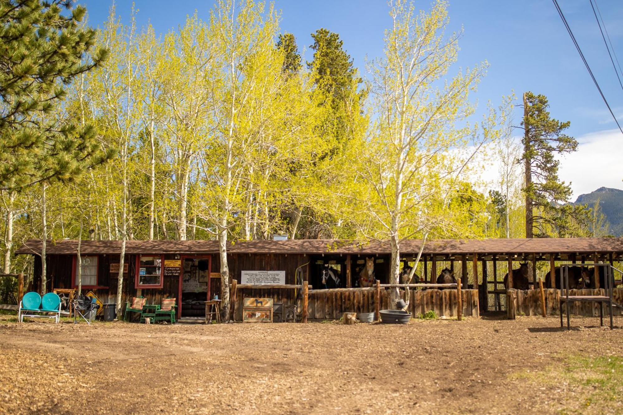 The Meeker Park Lodge Allenspark Eksteriør bilde
