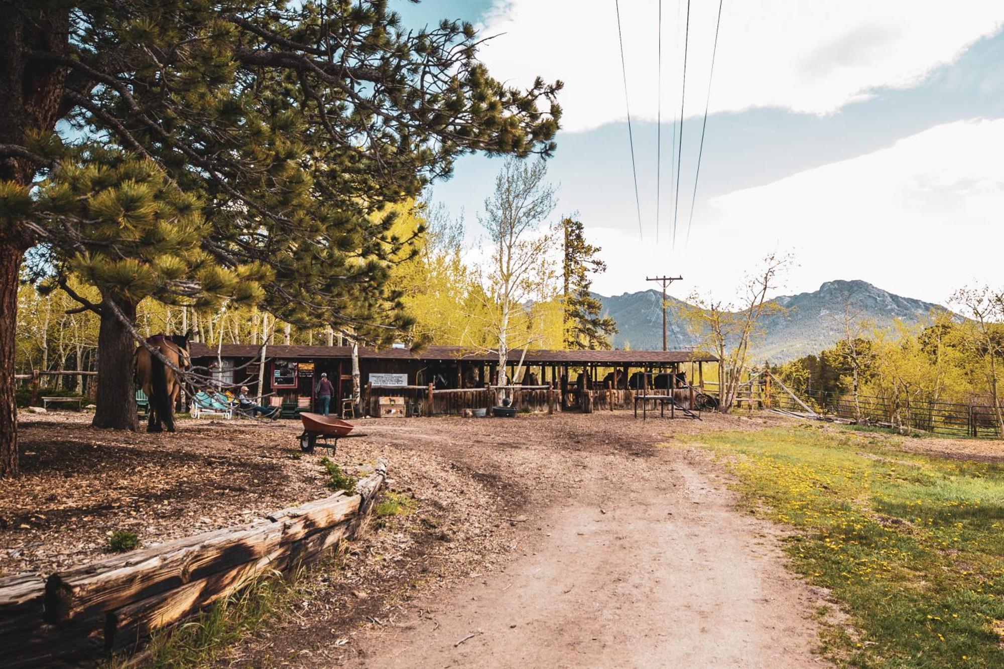 The Meeker Park Lodge Allenspark Eksteriør bilde